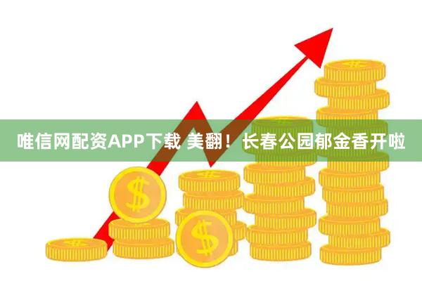 唯信网配资APP下载 美翻！长春公园郁金香开啦